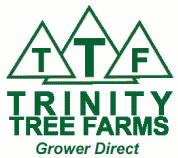 Trinity Tree Farms McKinney Texas